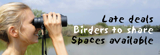 guided birding vacation europe late cheap deals button