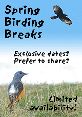 cheap birding holiday spain winter autumn photo