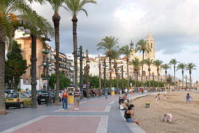 spain birding holiday accommodation catalonia barcelona sitges photo